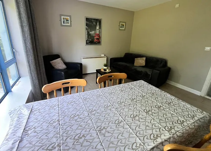 Entire In Town Apartment